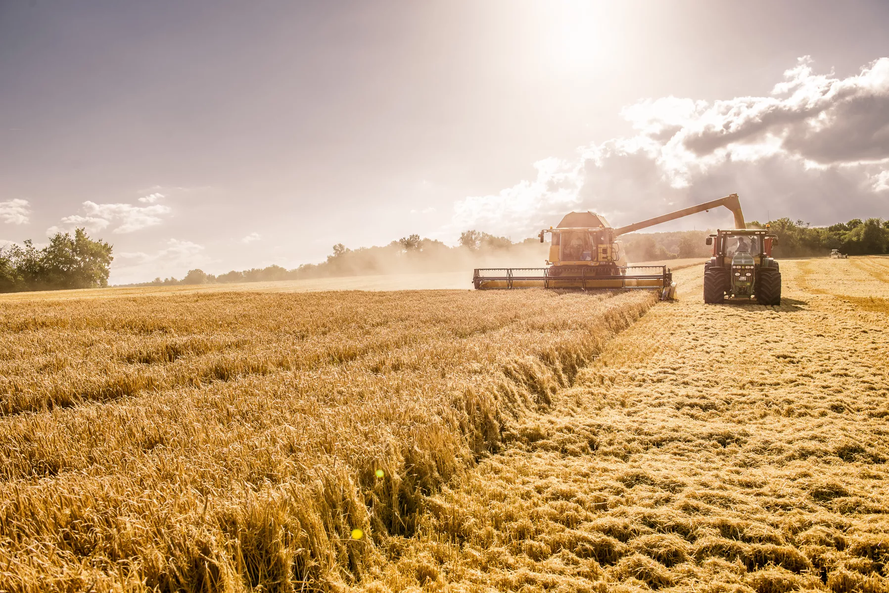 Finch Whisky ein Mähdrescher bei der Ernte im Gegenlicht