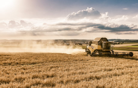 Ein Mähdrescher im Gegenlicht auf einem Weizenfeld