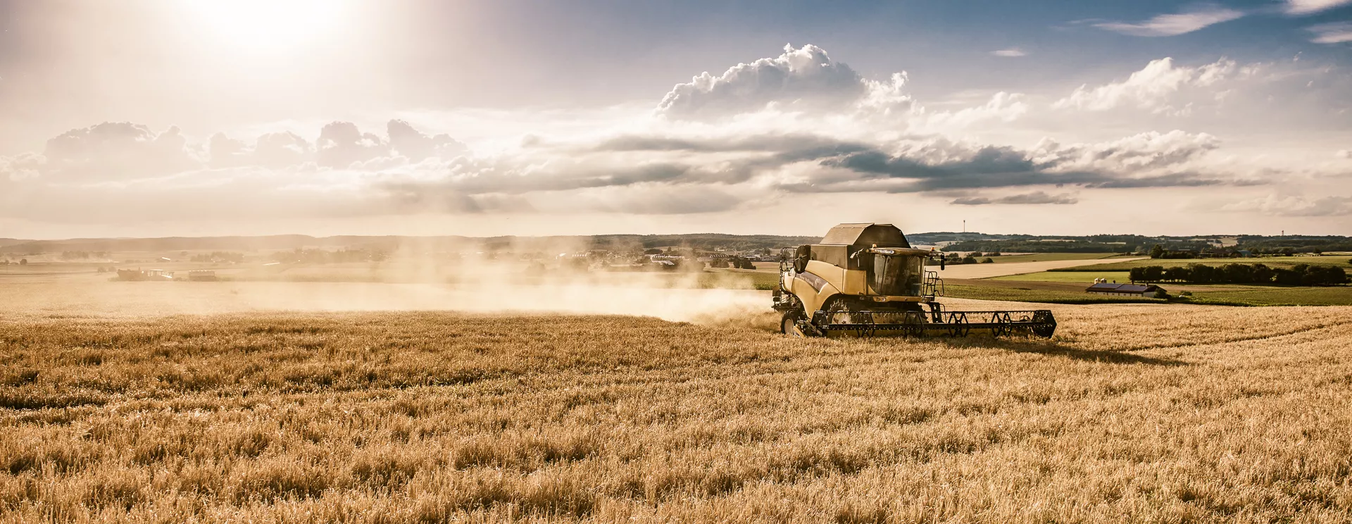Finch Whisky Ein Mähdrescher im Gegenlicht auf einem Weizenfeld